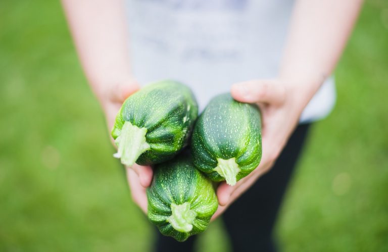 Zucchine: l’alimento perfetto per coniugare gusto e salute